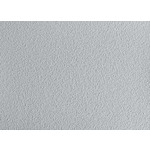 TBS Anti-dérapant TBS16 4cm x 1,50m autoadhésif gris