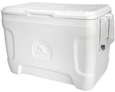 IGLOO Marine Ultra 25 Capacité de 23L