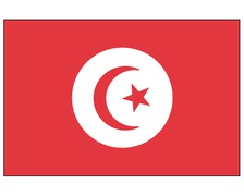 BIGSHIP Pavillon Tunisie 30x45cm BIGSHIP Pavillon Tunisie 30x45cm