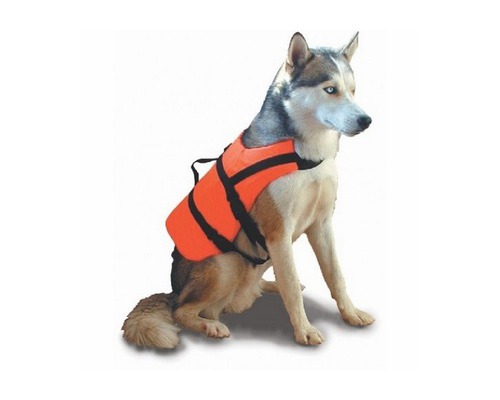 LALIZAS Brassiere chien >40kg Lalizas