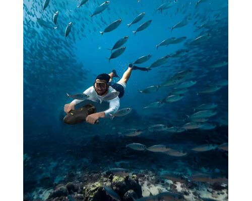 SPINERA propulseur sous marin powerfin SPINERA SPINERA propulseur sous marin powerfin SPINERA