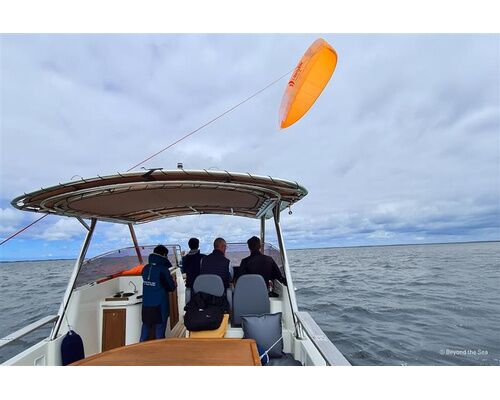 LIBERTY KITE Aile de traction 20 m²