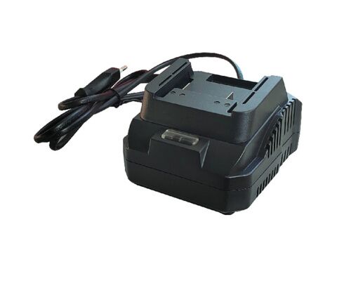 BIGSHIP Chargeur pour Coupe Bout sur Batterie