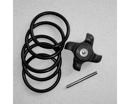 B&G Roue à aubes avec kit de joints B&G B&G Roue à aubes avec kit de joints B&G