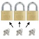 IFAM Cadenas laiton double verrouillage E-30 mêmes clés Ifam