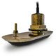 RAYMARINE Sonde Passe coque Bronze RV-200 Real Vision 3D Raymarine
