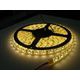 MANTAGUA Ruban Leds adhésif LED étanche (190LM/M) - les 5m Mantagua
