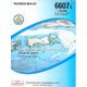 SHOM L6607 POLYNESIE SUD-EST Shom
