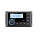 Clarion Radio avec écran LCD FM DAB Bluetooth Garmin