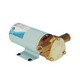 JABSCO Pompe water puppy junior - 24V Jabsco