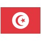 BIGSHIP Pavillon Tunisie 30x45cm BigShip